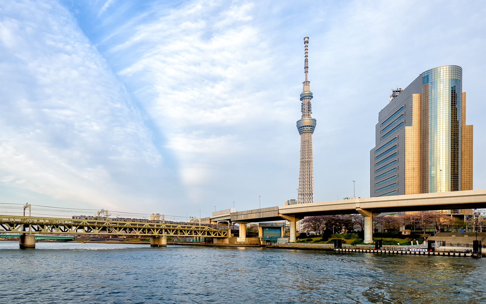 Tokyo Skytree Observation Deck - Spectacular Views Of Tokyo's Skyline